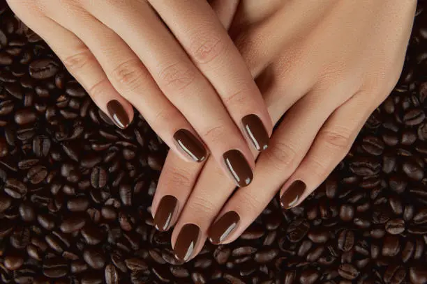 Beautiful groomed womans hands with brown nail design. Manicure, pedicure beauty salon concept.