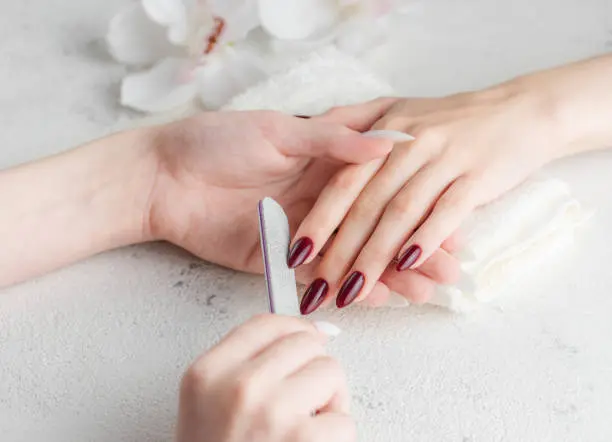 Beautiful hands of a young woman with dark red manicure on nails. Manicure process.